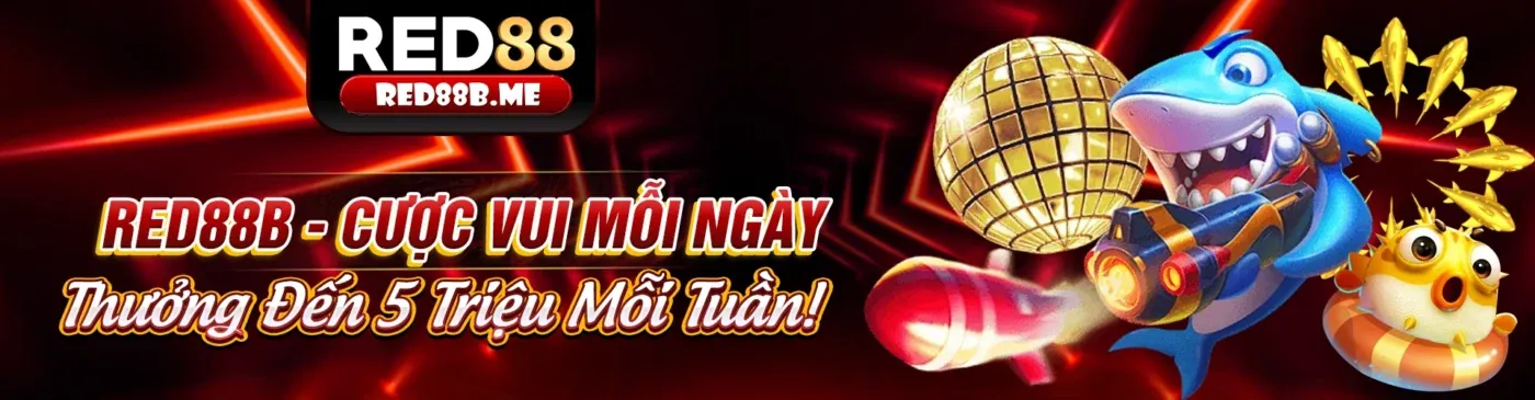 Hình ảnh tổng quan về điều khoản dịch vụ xn88 login